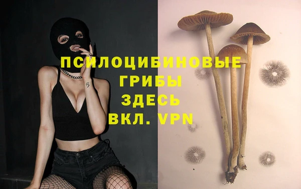 круглые Алексеевка