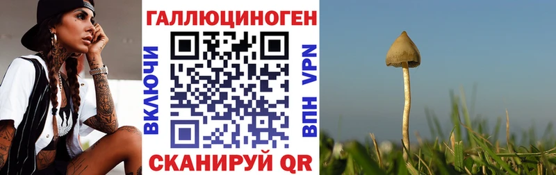 Псилоцибиновые грибы мицелий  купить закладку  Спас-Клепики 